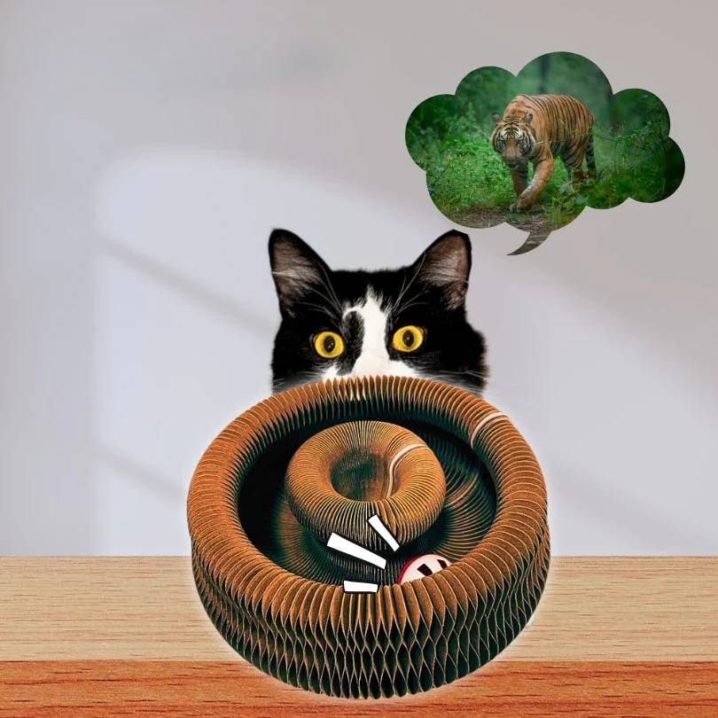 CATSPHERE™ - Interaktywna zabawka dla kota