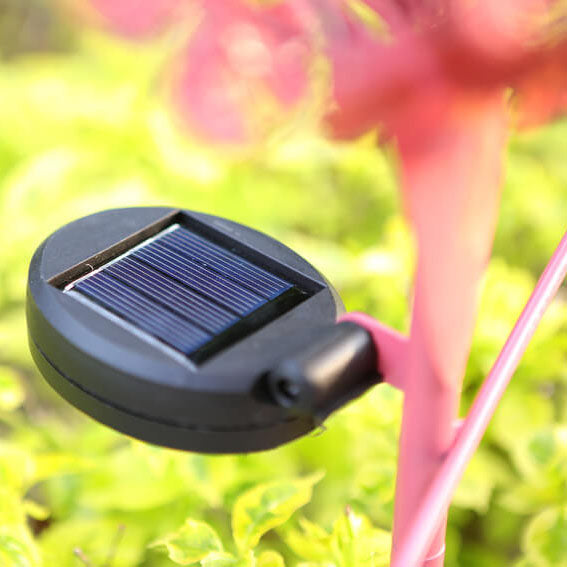Solarna Lampa Ogrodowa LED Flaming – Różowa – (1 LED)